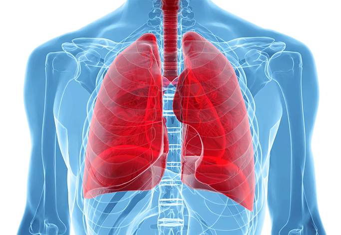Pulmonology